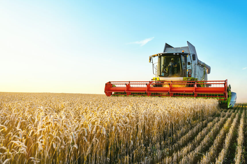 Blog-Buscar-Rural-Possibilidade-de-negócio-consumo-interno-do-trigo-é maior-que-produção