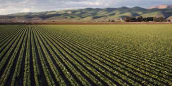 Código Florestal: Agro alinhado com a natureza