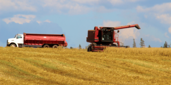 Logística na área rural é fundamental para escoamento da produção