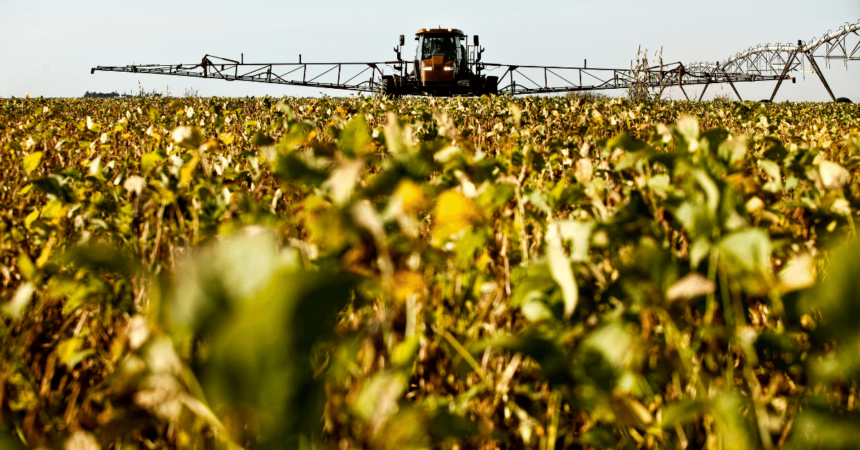 A logística rural é viga mestra para o sucesso do agronegócio no mundo