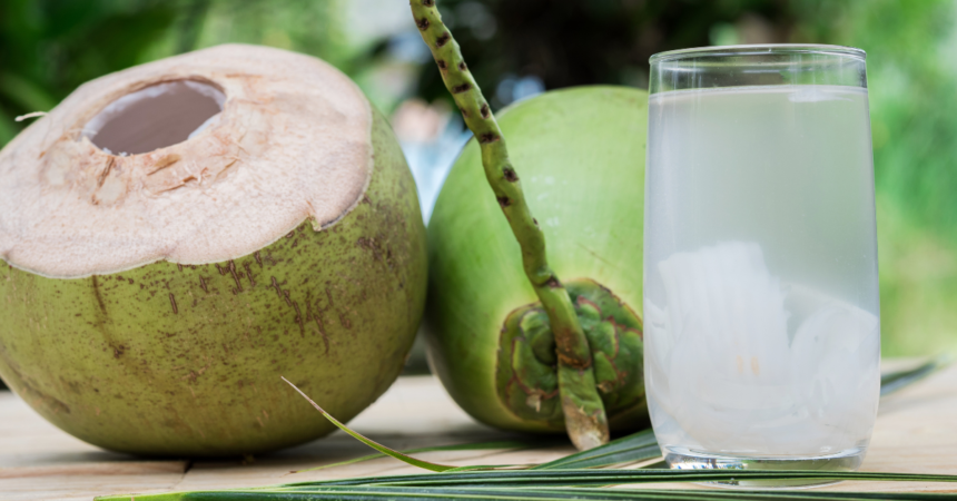 água de coco boa para economia e para o organismo