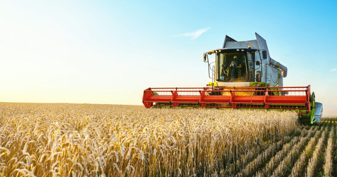 Blog-Buscar-Rural-Possibilidade-de-negócio-consumo-interno-do-trigo-é maior-que-produção